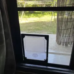 Item thumbnail for item ff9e9a7b-a7fc-493f-a92e-d03af57b4b5a