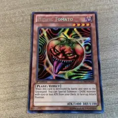 海外版　キラートマト　シークレット　1st Edition 遊戯王