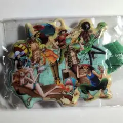 ONEPIECE 東京ワンピースタワー 限定品 チケットホルダー 麦わらの一味