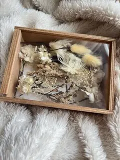 Item thumbnail for item c98614e9-3b91-4ed2-b6d0-173c99ad6df5