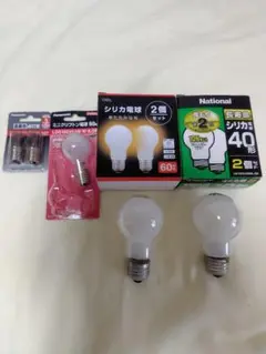 シリカ電球60形1個・40形 1個・ミニクリプトン電球60形1個・点灯管2個