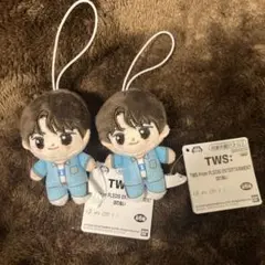 TWS From ほわぬい ぬいぐるみ シニュ シンユ　2個セット