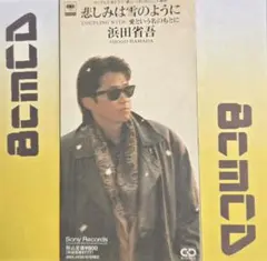 悲しみは雪のように