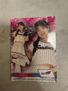 Item thumbnail for item cf4b2d24-8244-4245-926a-624909453d35