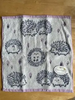 Item thumbnail for item f0a436c8-e181-4203-ab09-214828502afa