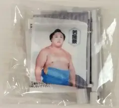 【新品】大相撲ガチャ　若隆景　ミニのぼりマグネット