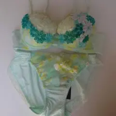 【新品！】ワコール　サルート　ブラジャー　btj751 ptj751