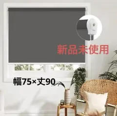 HOCRISSON ロールスクリーン ダークグレー 幅75×丈90cm