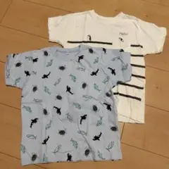 Tシャツセット　サイズ120