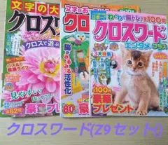 ⭐️クロスワード⭐️Z9セット⭐️未記入パズル雑誌3冊⭐️応募可能⭐️