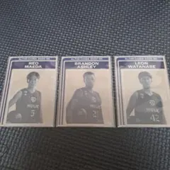 Item thumbnail for item 3788cc03-d02e-4225-8559-03b6b138e60d