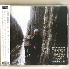 THA BLUE HERB/アンダーグラウンドVSアマチュア/未来世紀日本