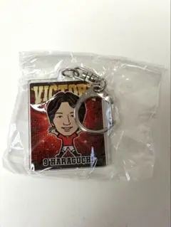 原口元気 ヴィクトリーガチャ VICTORY