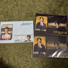 トリリオンゲーム HARU カードセット 未開封
