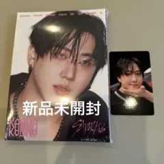 Stray Kids　KARMA　accordion チャンビン　新品未開封