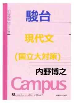 ライジング現代文 　初版　大学受験　絶版　書き込み無し　内野博之　駿台　東京大学 ライジング現代文 初版 大学受験 絶版 書き込み無し 内野博之