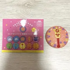 セーラームーン　ストアオリジナル　刺繍缶バッジ　Vol.2 マーズ