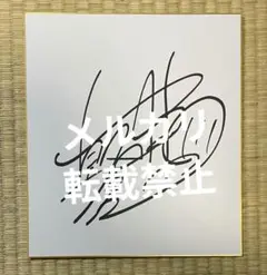 朝倉海　サイン　直筆サイン RIZIN 朝倉未来&朝倉海 直筆サイン色紙2枚セット - メルカリ