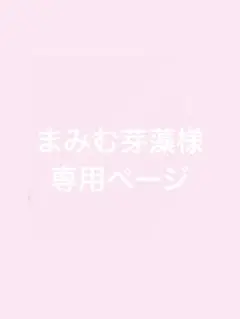 専用ページ