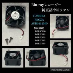 Item thumbnail for item fb9942ac-c360-4804-87d2-2873fc00258c