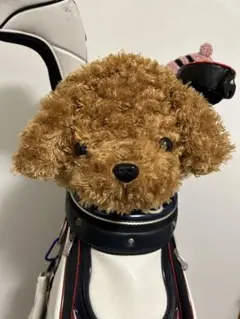 トイプードルのアイアンカバー