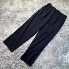 UNIQLO ユニクロ タックテーパードパンツワイドフィット ネイビー メンズL