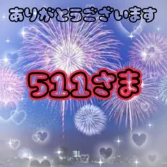 専用ページ511さま