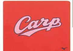 新品　ミズノ 広島カープ　セームタオル　スイムタオル carp 販売終了品