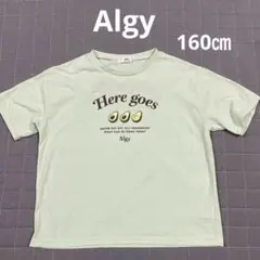 Algy アボカドプリント Tシャツ ミントグリーン　160㎝