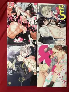 BL漫画 まとめ売り ときしば やまち