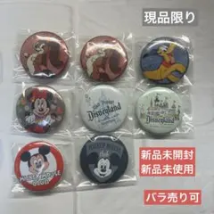 Disney ディズニー 東京ディズニーリゾートカンバッジコレクション セット