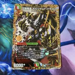 王闘竜皇ボルシャック・ドラゴン シークレット