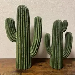 【DULTON】CACTUS D・E セット
