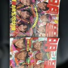 1明星 (Myoujou) 1989年号 2冊セット1月酒井法子表紙
