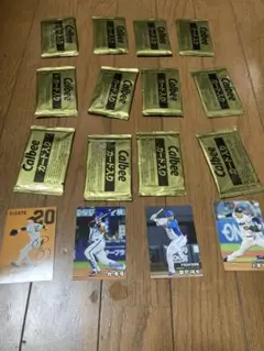 オマケ付き　2025 プロ野球チップス　未開封カード12袋(24枚)