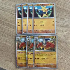 ポケモンカード　マクノシタ　ハリテヤマ　進化ライン