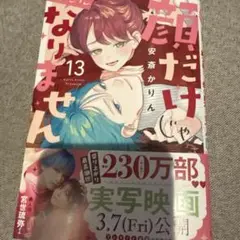 顔だけじゃ好きになりません 13
