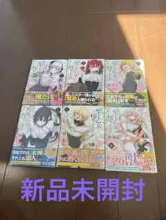 聖なる乙女と秘めごとを　1-６巻セット　全巻新品未開封　全巻初版