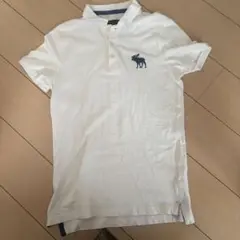 アバクロフィッチ　ホワイト　ポロシャツ XS