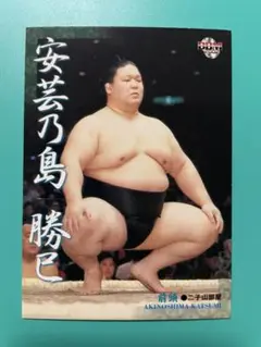 【未使用品レア物】安芸乃島　反物　浴衣　大相撲 未使用品レア物】安芸乃島 反物 浴衣 大相撲 - メルカリ