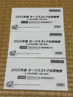 2024年度　ホークスストア店舗お買物券 2024年度 ホークスストア店舗お買物券 6枚