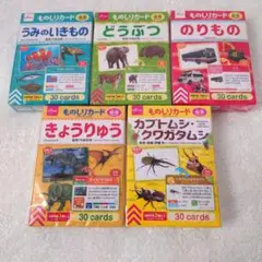 ものしりカード　フラッシュカード　うみのいきもの　乗り物　動物　恐竜　カブトムシ
