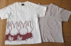 ミッフィー Tシャツ レディース ２枚セット