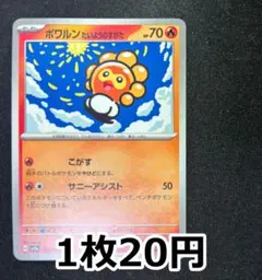 ポワルン　たいようのすがた