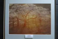 Item thumbnail for item f5b27fdc-9afa-4cc7-af52-3c21430545c9