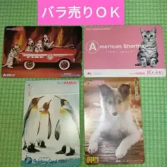 スルッとKANSAI　ダルメシアン　アメショー猫　犬　ペンギン　４枚セット使用済