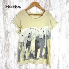MaxMara ゾウ エレファント アニマル フレンチスリーブ Tシャツ