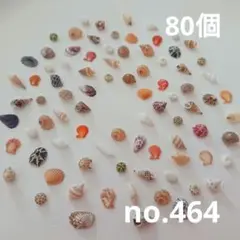 no.464 ウニ殻と天然ミニ貝殻 セット
