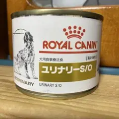 Item thumbnail for item aeea6160-9a01-4d55-9edb-5773fc0d8f5e