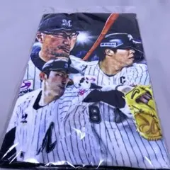 カープ ロッテ 交流戦 ビジュアルフェイスタオル